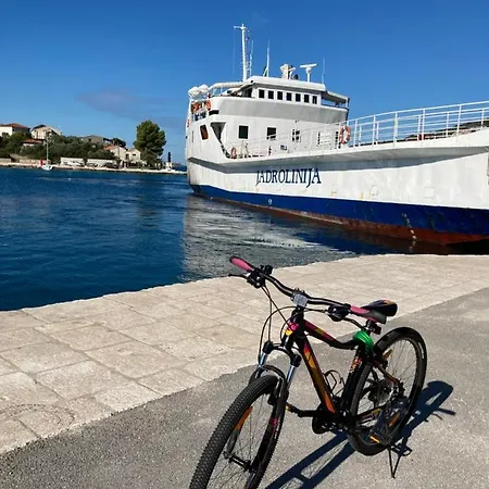 Dragazzo 特罗吉尔