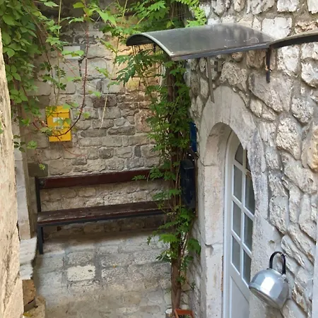 Dragazzo * 特罗吉尔